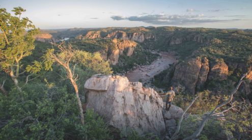kruger, pafuri, lanner gorge, anton crone