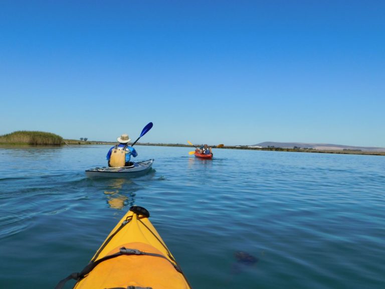 Berg river esteuary kayak. Picture: David Henning