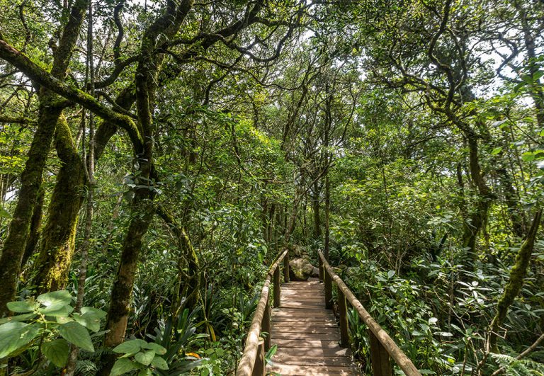 Weekend getaways in Mpumalanga - God's Window