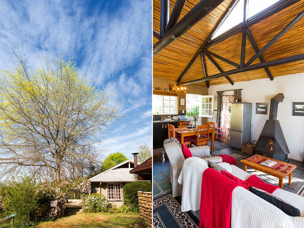 hogsback-mapel-grove-november-2016