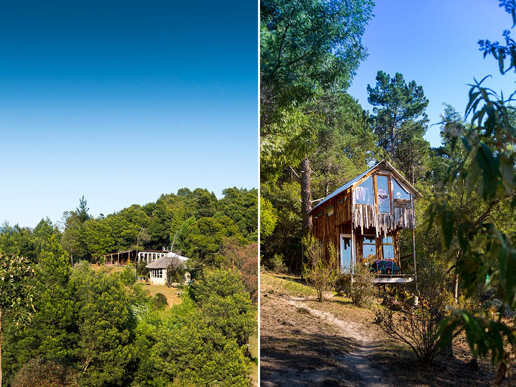 hogsback-terra-khaya-november-2016