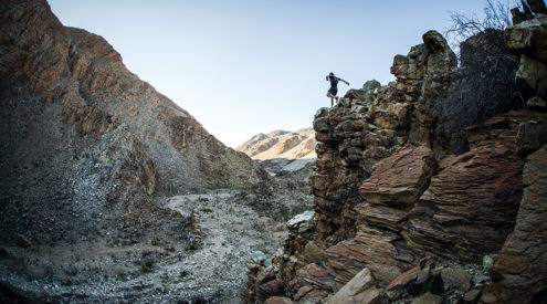 The republic of baboons