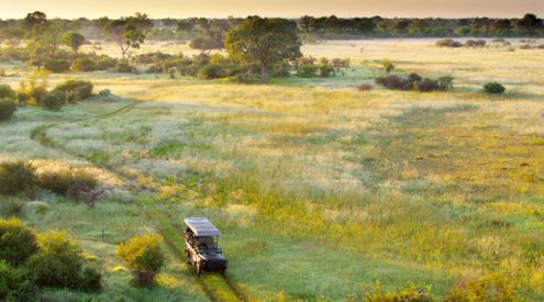 Do you need a reason to visit Botswana?