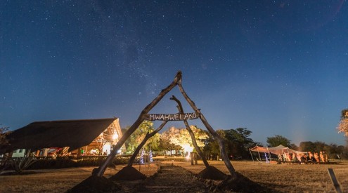 greenpop, trees for zambia