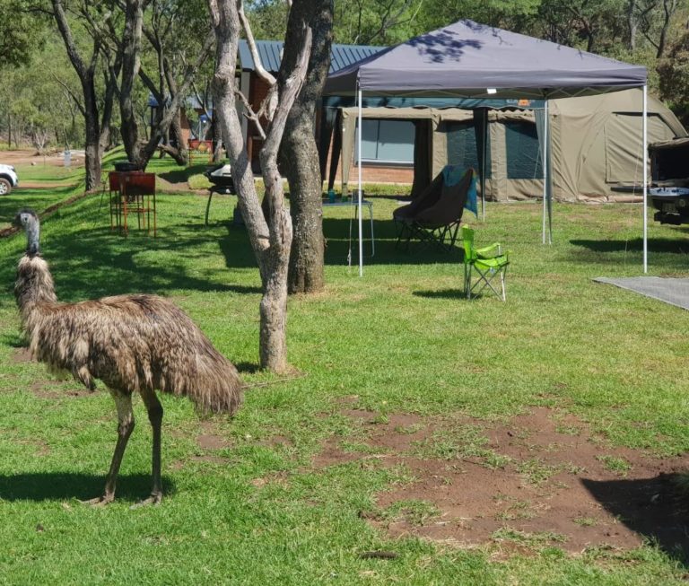 Campsites near Joburg