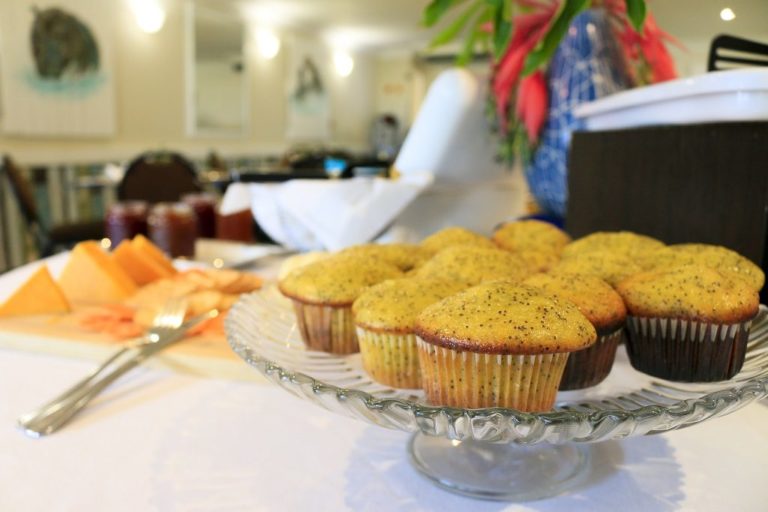 restaurants and cafes to visit in and around Isimangaliso