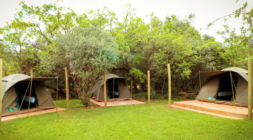 Campsites near Joburg