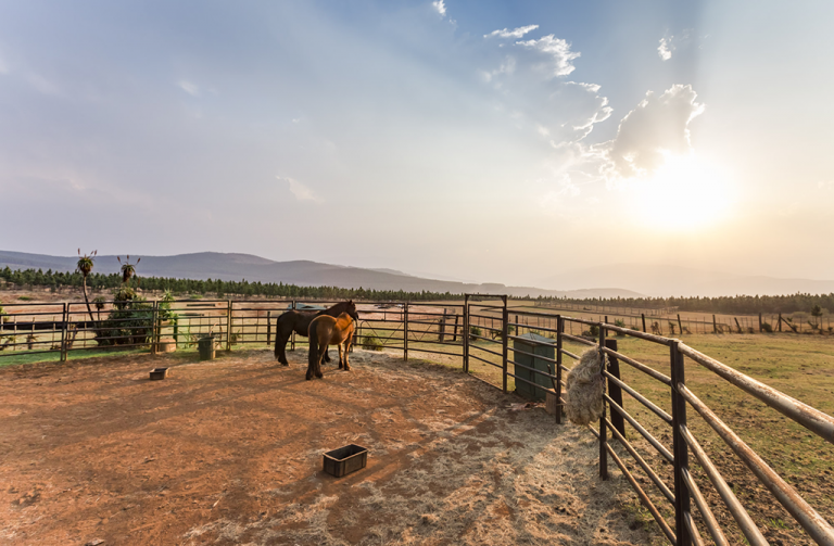 Places to visit in Mpumalanga