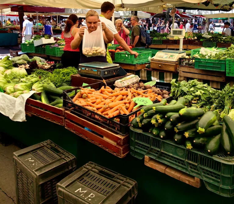 Things to do in Ljubljana